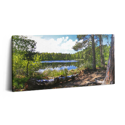 Obraz na płótnie 120x60 Widok na jezioro w lesie