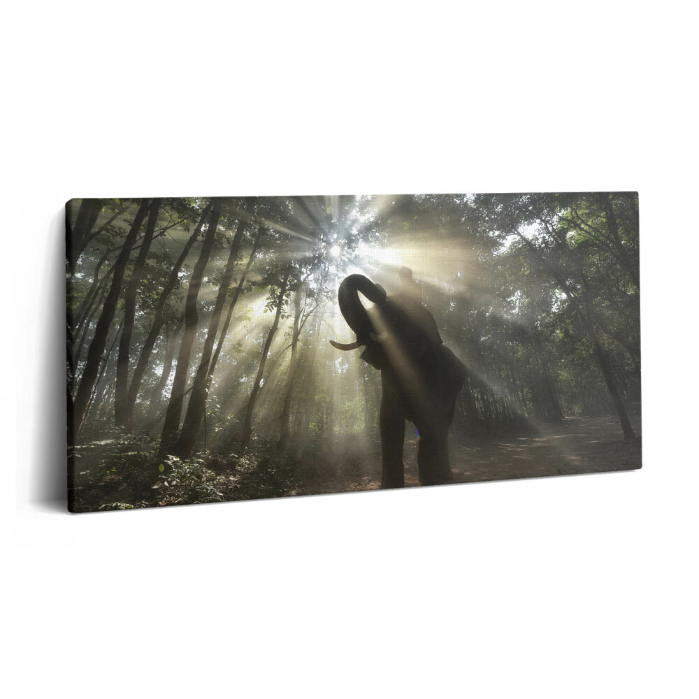 Fotoobraz canvas 120x60 Słoń w dżungli