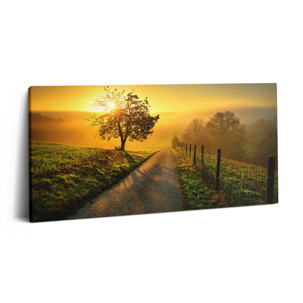 Fotoobraz canvas 120x60 Mgła o wschodzie słońca