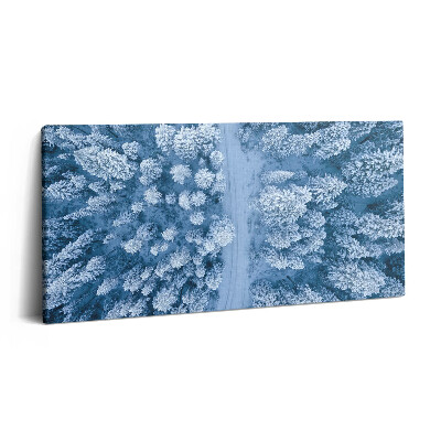 Foto obraz canvas 120x60 Las z lotu ptaka. Drony