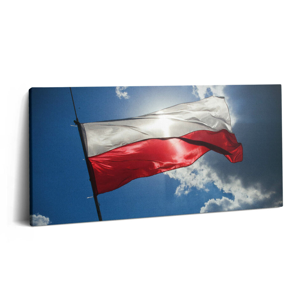 Nowoczesny obraz na płótnie 120x60 Polska flaga na niebie