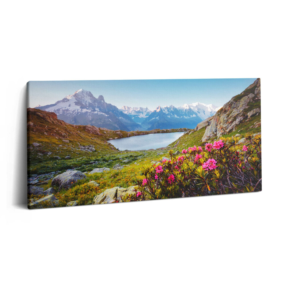 Fotoobraz canvas 120x60 Lodowiec Mont Blanc Chamonix