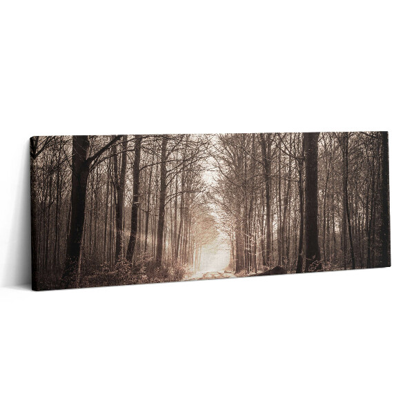 Obraz canvas 125x50 Leśna ścieżka w kolorach sepii