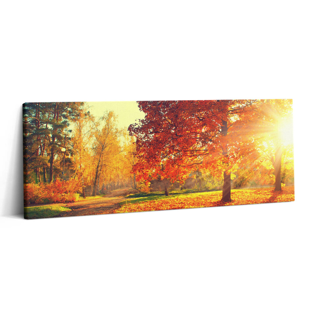 Obraz canvas 125x50 Jesienny park