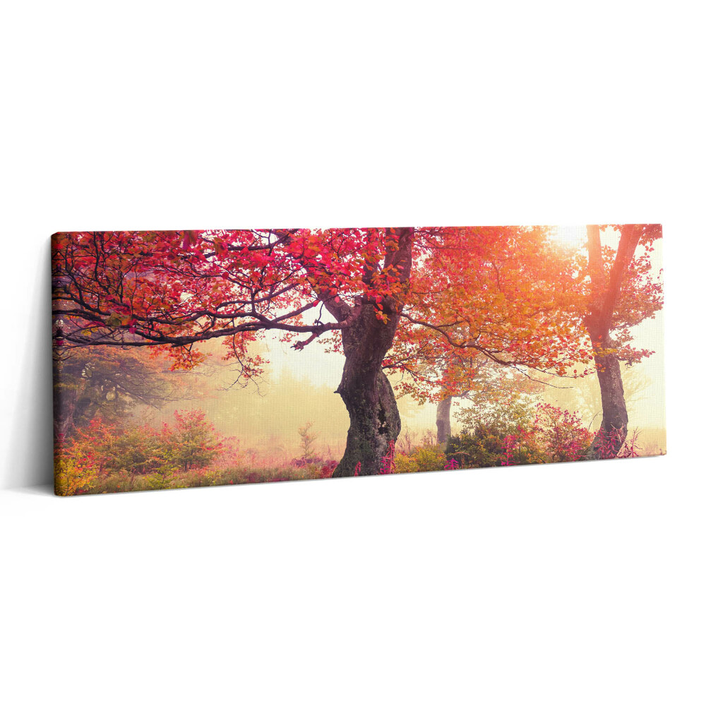 Obraz canvas 125x50 Jesienne drzewa