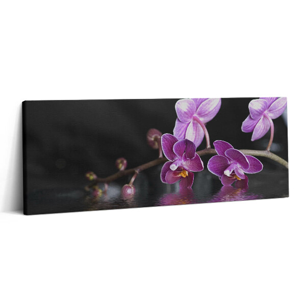 Obraz canvas 125x50 Różowy kwiat orchidei na wodzie