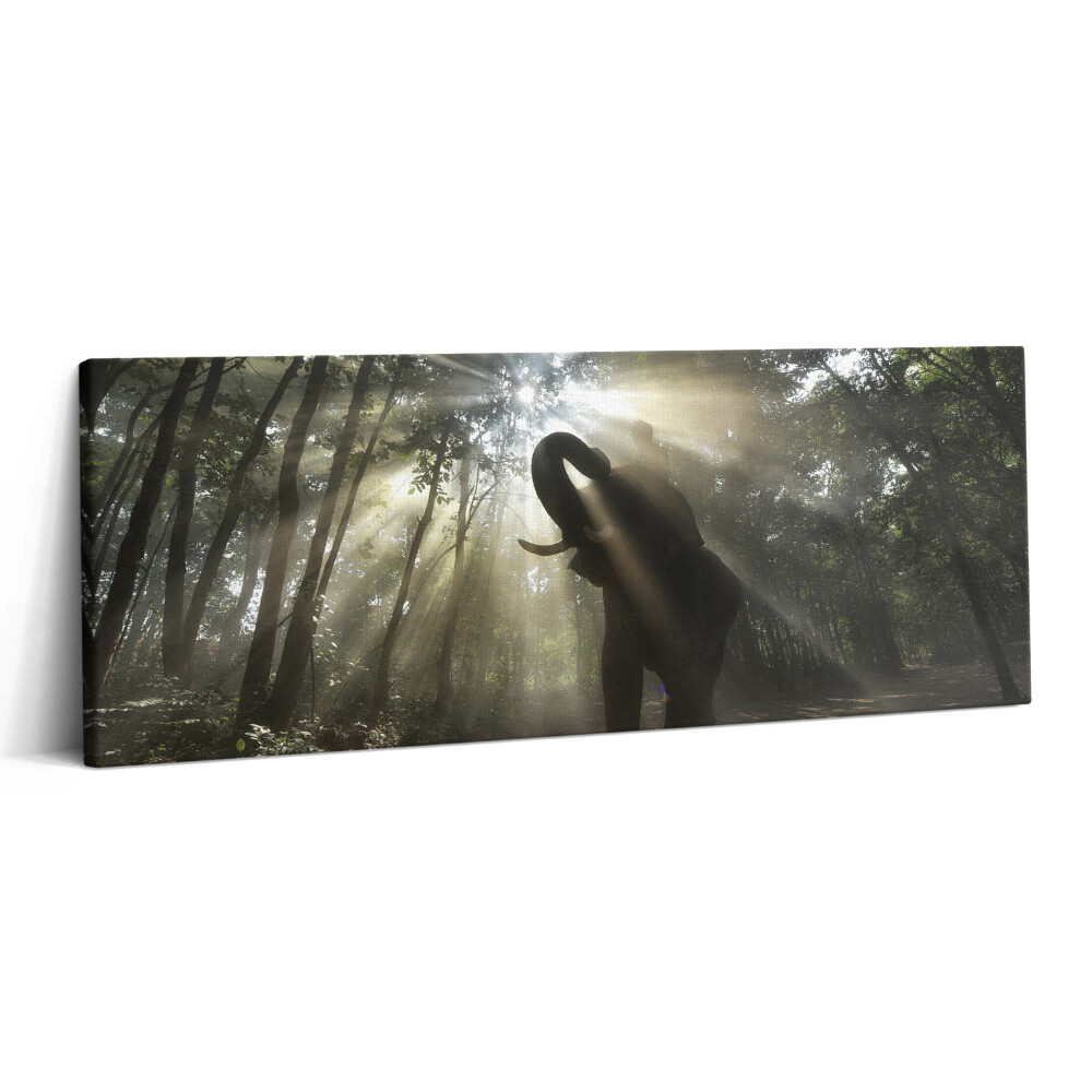 Fotoobraz canvas 125x50 Słoń w dżungli