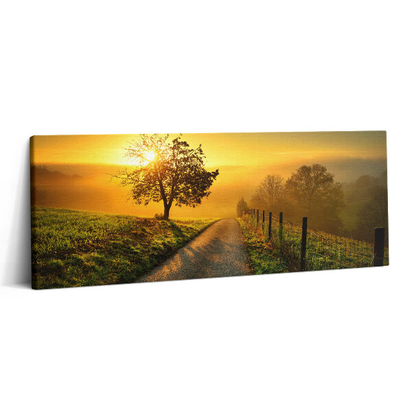 Fotoobraz canvas 125x50 Mgła o wschodzie słońca