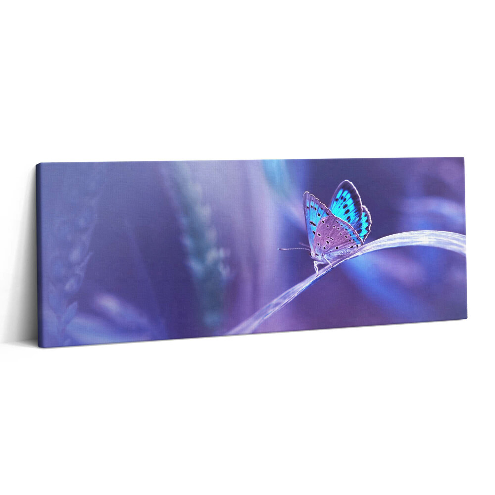 Fotoobraz canvas 125x50 Motyl na trawie