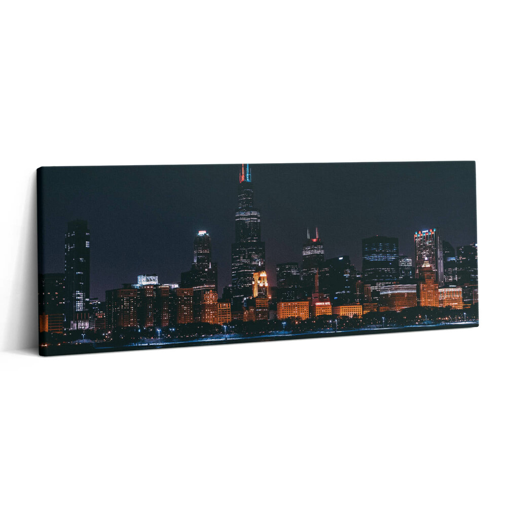 Foto obraz na płótnie 125x50 Pejzaż Chicago