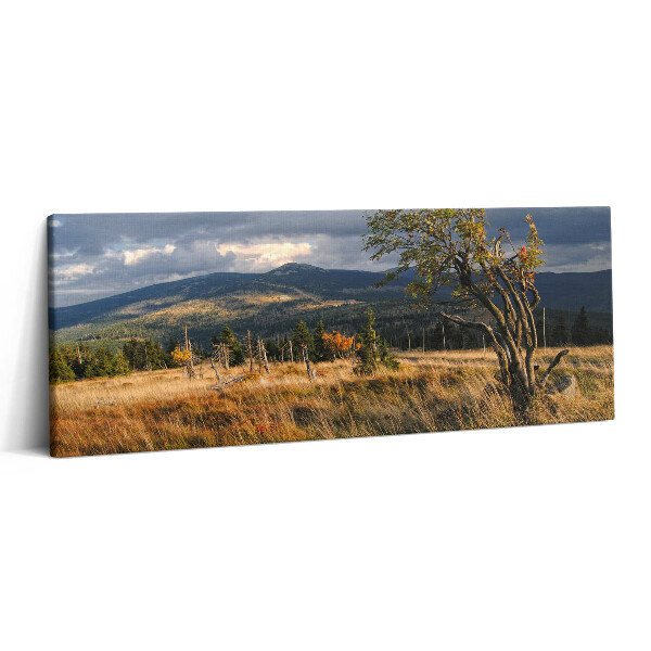 Fotoobraz canvas 125x50 Karkonosze jesienią