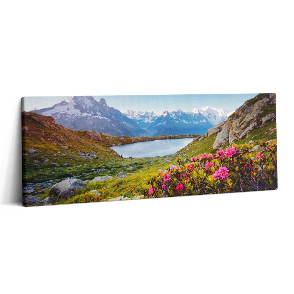 Fotoobraz canvas 125x50 Lodowiec Mont Blanc Chamonix