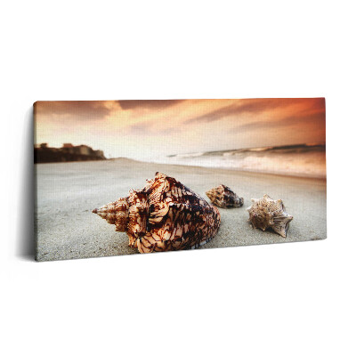 Obraz na płótnie 140x70 Muszle na plaży