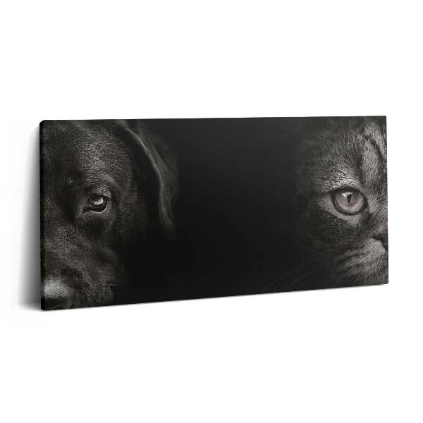 Obraz canvas 140x70 Pies labrador i kot szkocki