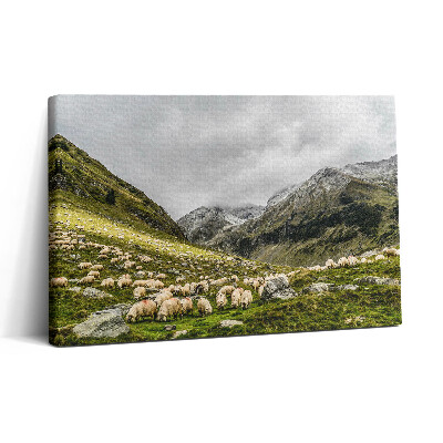 Obraz canvas 30x20 Owce na łące w górach