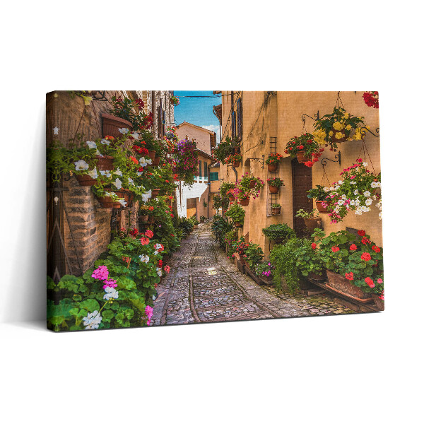 Foto obraz canvas 30x20 Ulica Kwiatowa w mieście Umbria