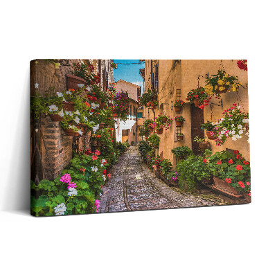 Foto obraz canvas 30x20 Ulica Kwiatowa w mieście Umbria