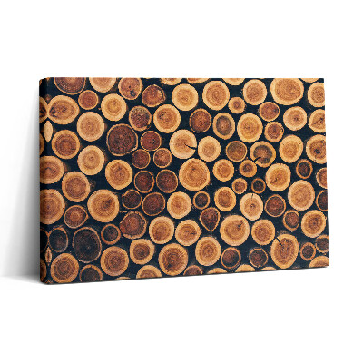 Obraz na płótnie 30x20 Pnie drzew drewnianych