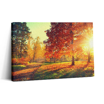 Obraz na płótnie 30x20 Jesienny park