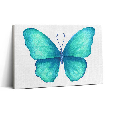 Obraz canvas 30x20 Turkusowy letni motyl