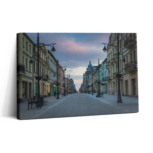 Foto obraz canvas 30x20 Piotrkowskiej w Łodzi