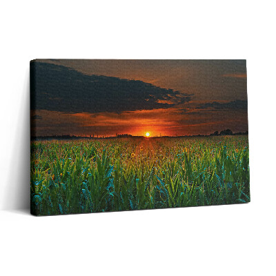 Obraz canvas 30x20 Słonecznik na łące