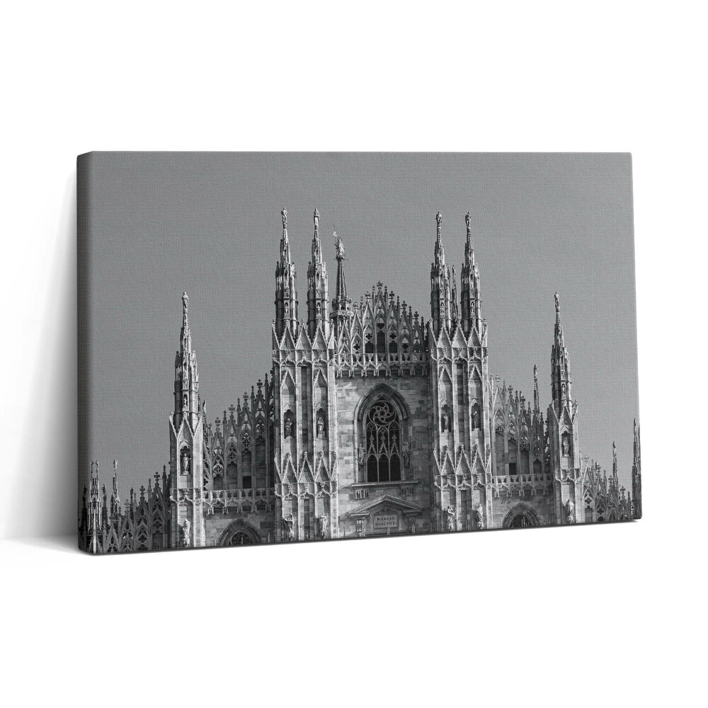 Obraz canvas 30x20 Katedra Duomo Di Milano w Rzymie