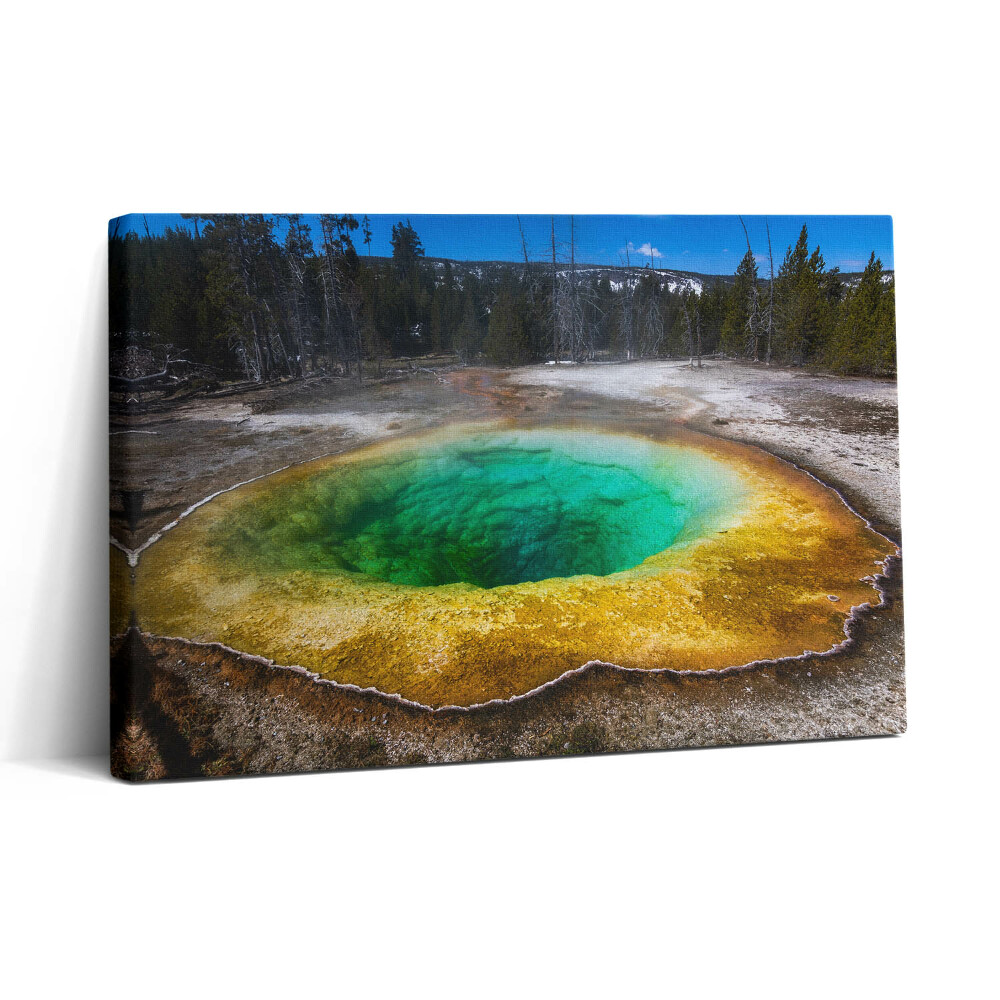 Obraz canvas 30x20 Gorące źródła w Yellowstone