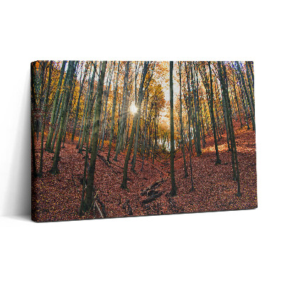 Obraz canvas 30x20 Zachód słońca i drzewa