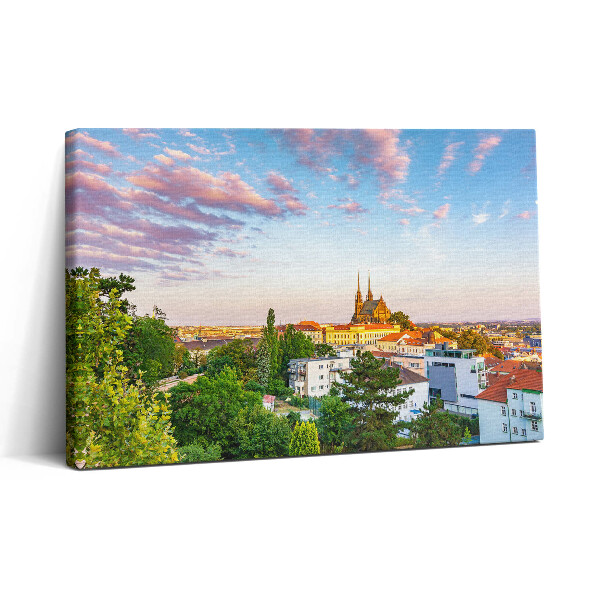 Foto obraz canvas 30x20 Budynki Brno Czechy