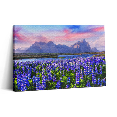 Obraz na płótnie 30x20 Pola lawendy - Islandia