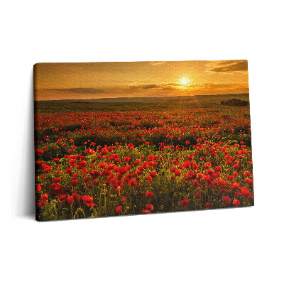 Obraz canvas 60x40 Krajobraz polany z makami