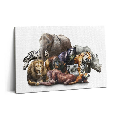 Obraz canvas 60x40 Dzikiej przyrody