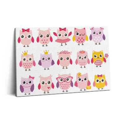Obraz canvas 60x40 Kolorowe sowy w dziecięcym stylu
