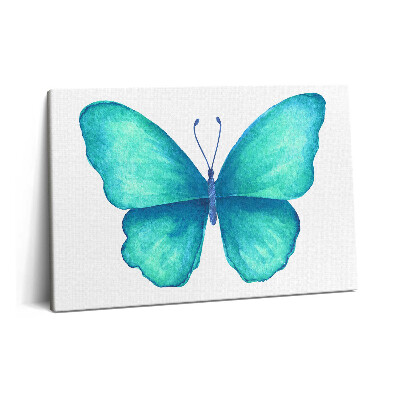 Obraz canvas 60x40 Turkusowy letni motyl