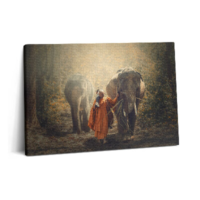 Obraz canvas 60x40 Mnich i słonie