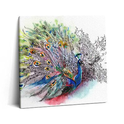 Obraz canvas 60x60 Kolorowy paw