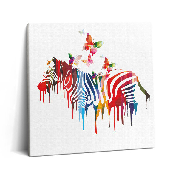 Obraz canvas 60x60 Kolorowa zebra