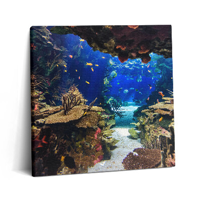Obraz canvas 60x60 Akwarium