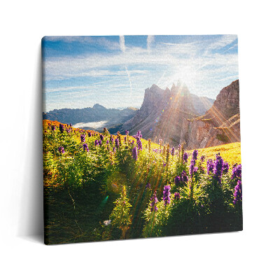 Foto obraz canvas 60x60 Lawendowa łąka