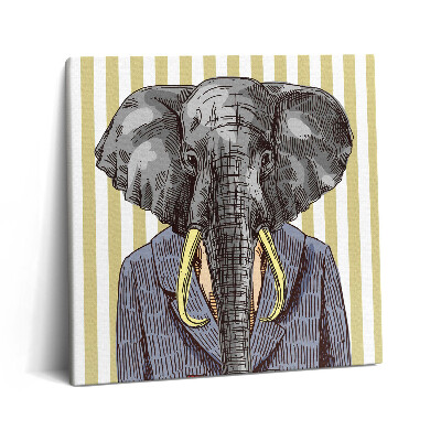 Foto obraz canvas 60x60 Słoń w kurtce