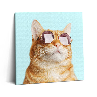 Obraz canvas 60x60 Śmieszny kot w okularach