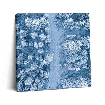 Foto-obraz canvas 60x60 Las z lotu ptaka. Drony