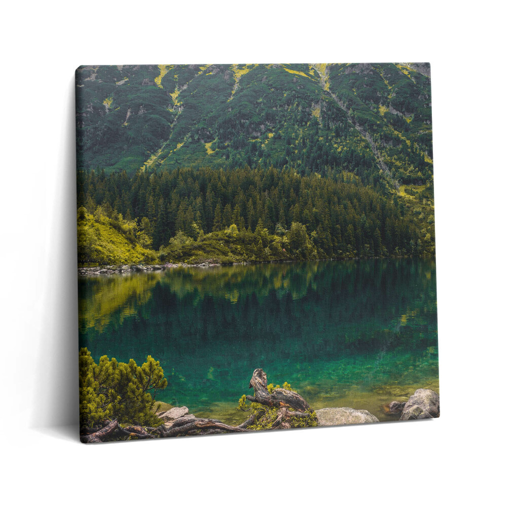 Foto-obraz canvas 60x60 Morskie Oko w Tatrach