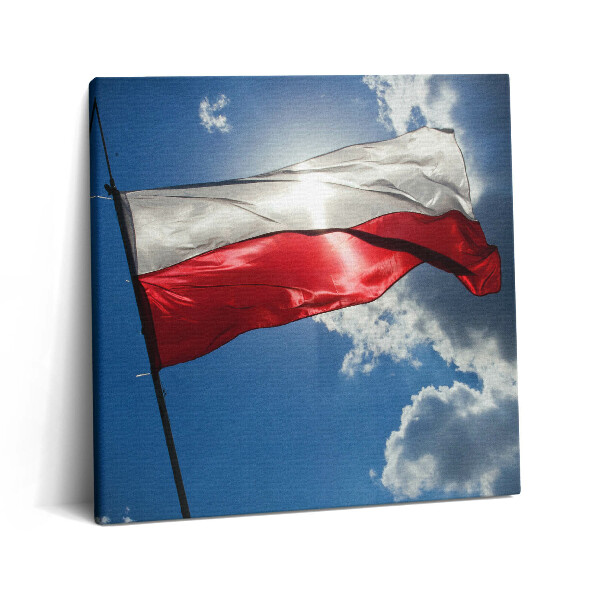 Obraz canvas 60x60 Polska flaga na niebie