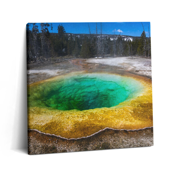 Foto-obraz canvas 60x60 Gorące źródła w Yellowstone