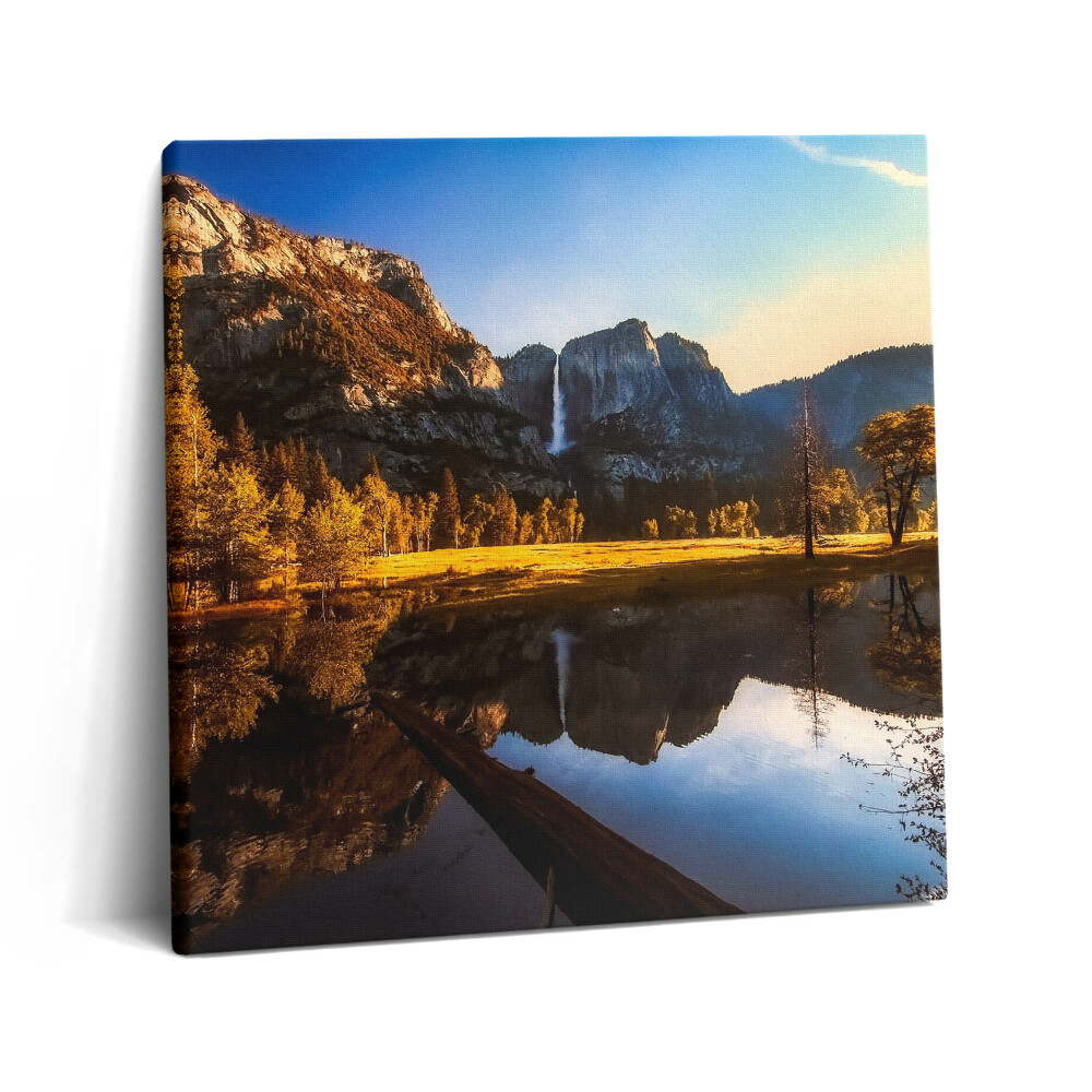 Foto-obraz canvas 60x60 Las w parku Yosemite