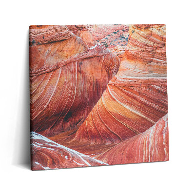 Foto-obraz canvas 60x60 Malowniczy Wielki Kanion