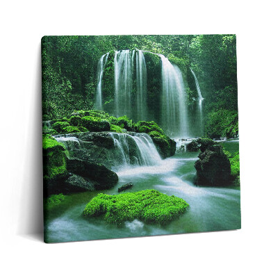 Foto obraz canvas 60x60 Kaskada wśród mchów