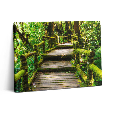 Obraz na płótnie 80x60 Kładka drewniana - agroturystyka